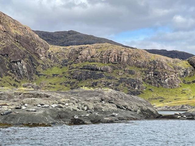 Waterfall View Milovaig 외부 사진
